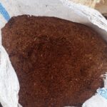 Cocopeat