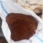 Coco Peat