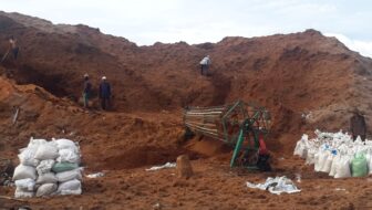 Distributor Cocopeat Jabodetabek