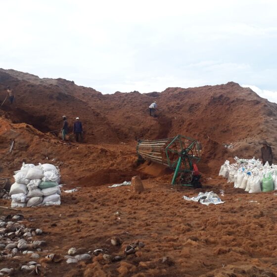 Distributor Cocopeat Jabodetabek