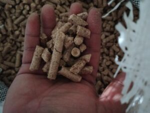 Wood Pellet