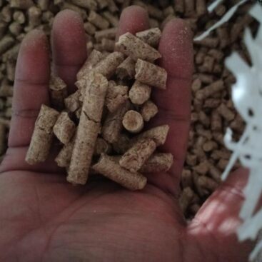 Wood Pellet