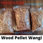 Wood Pellet Kucing